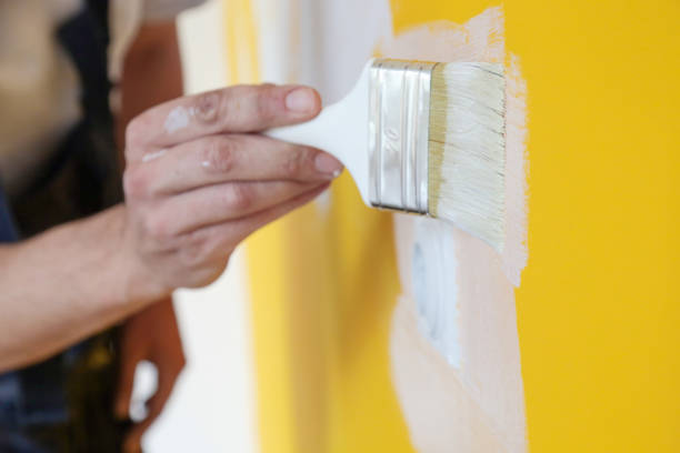 Home's Color Scheme