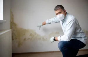 Walls developing mold is a common issue caused by moisture and poor ventilation. Use mold-resistant paints and ensure surfaces stay dry to stop mold before it starts.